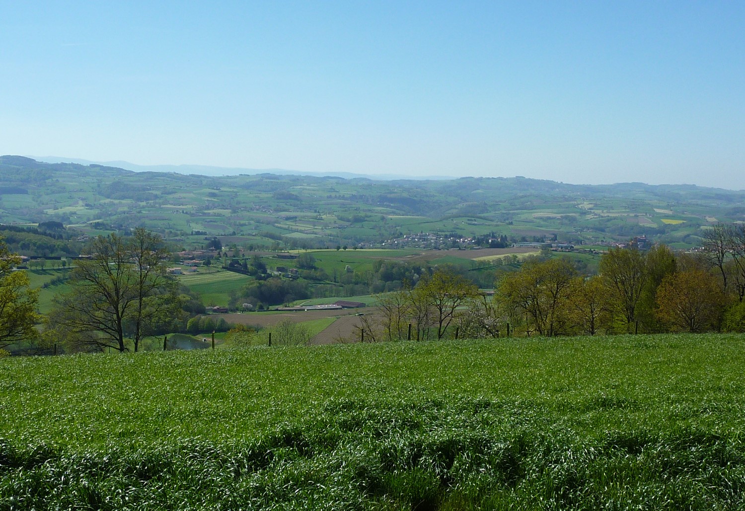 Monts du lyonnais.jpg