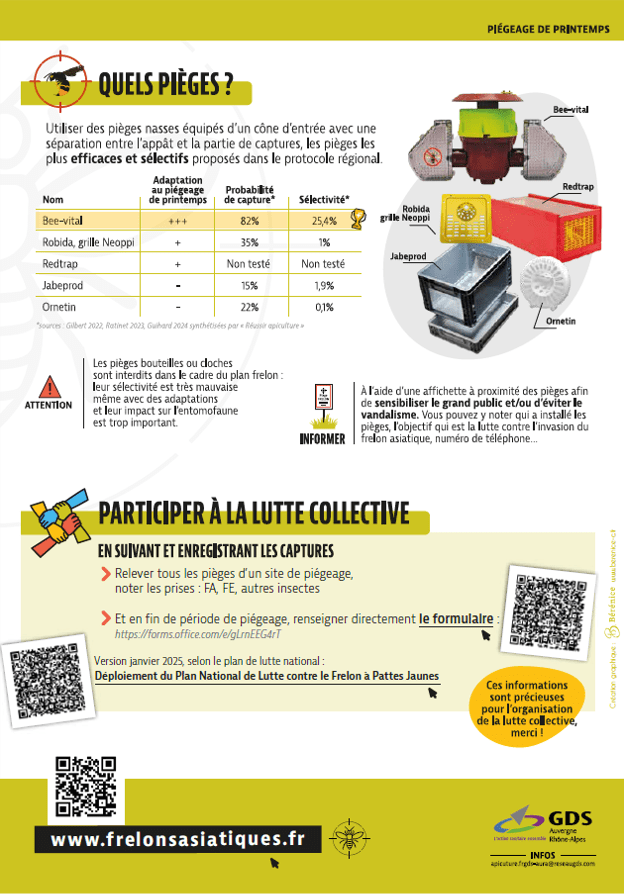 frelon 3.png