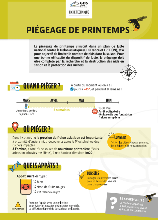 frelon 2.png