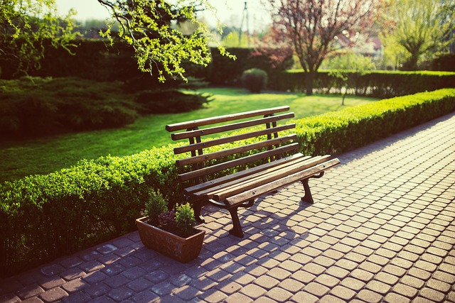 bench-791852_640.jpg