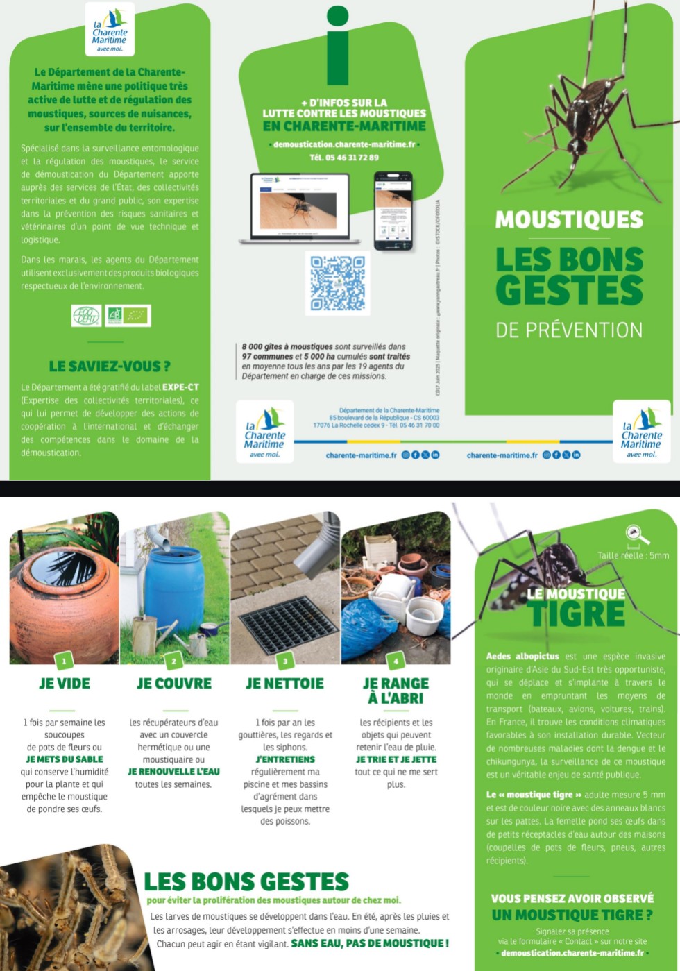 moustique 1.png