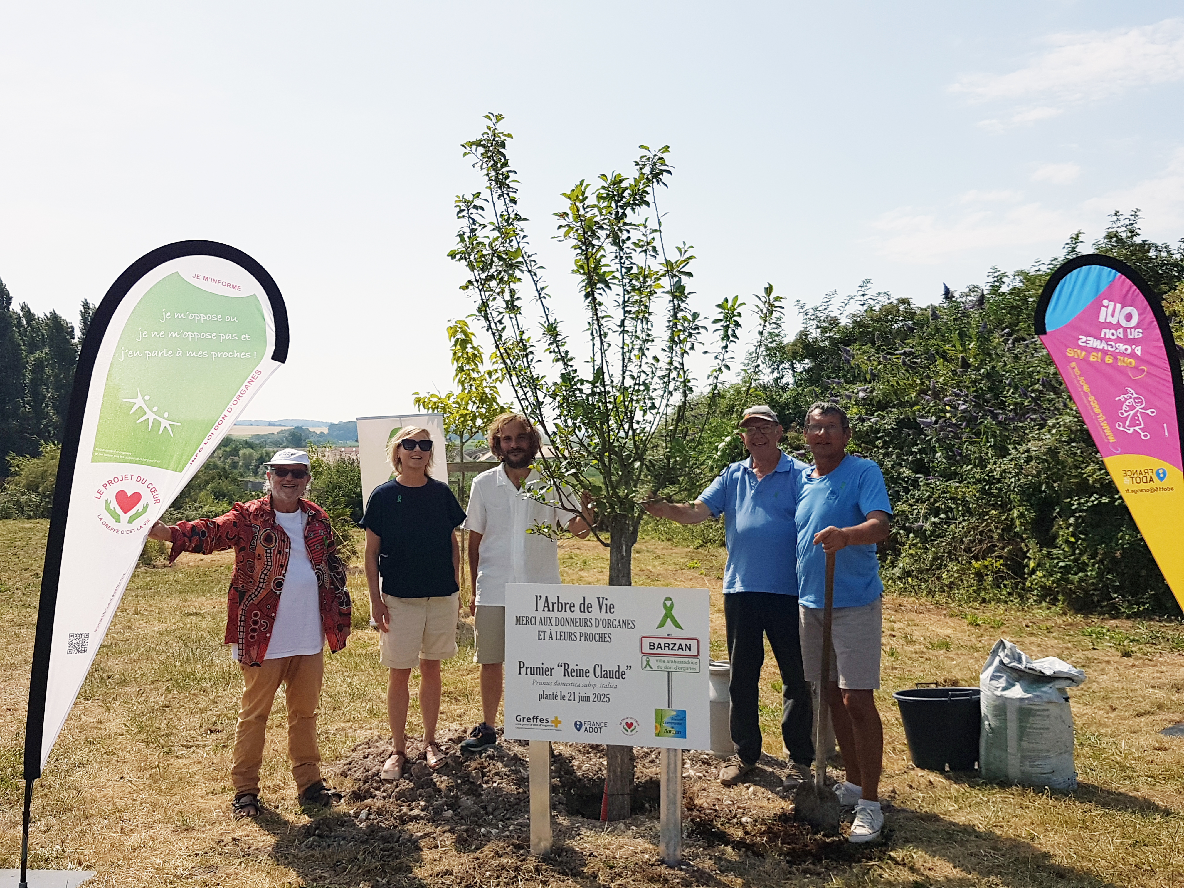 arbre de vie image retravaillée.jpg