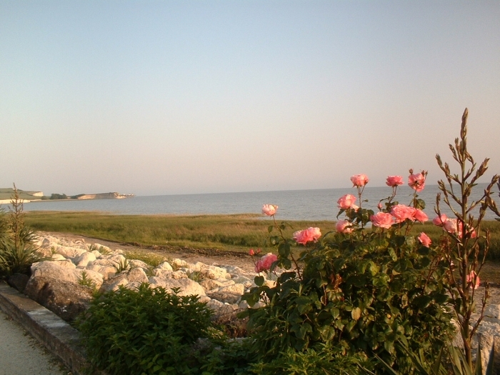 barzan-1-003.jpg