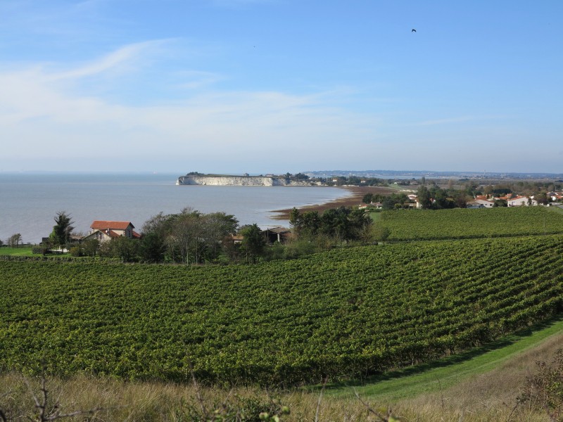 Commune de Barzan Site officiel