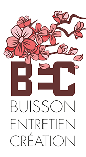 LogoBuisson.png
