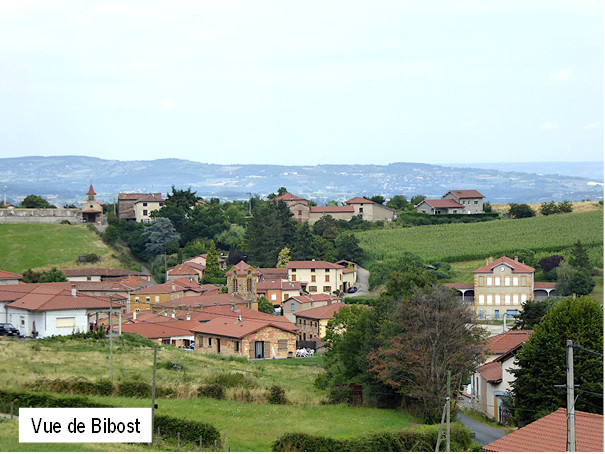 VueGeneBibost_T.jpg