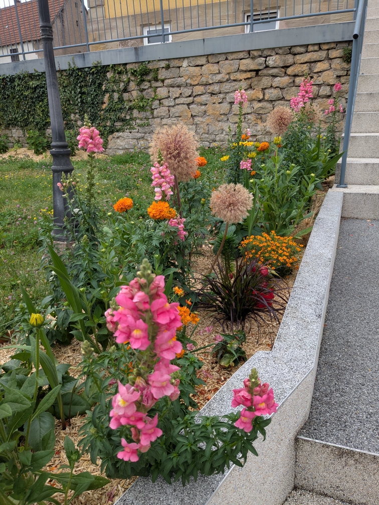 PXL_20250627_073653442.jpg