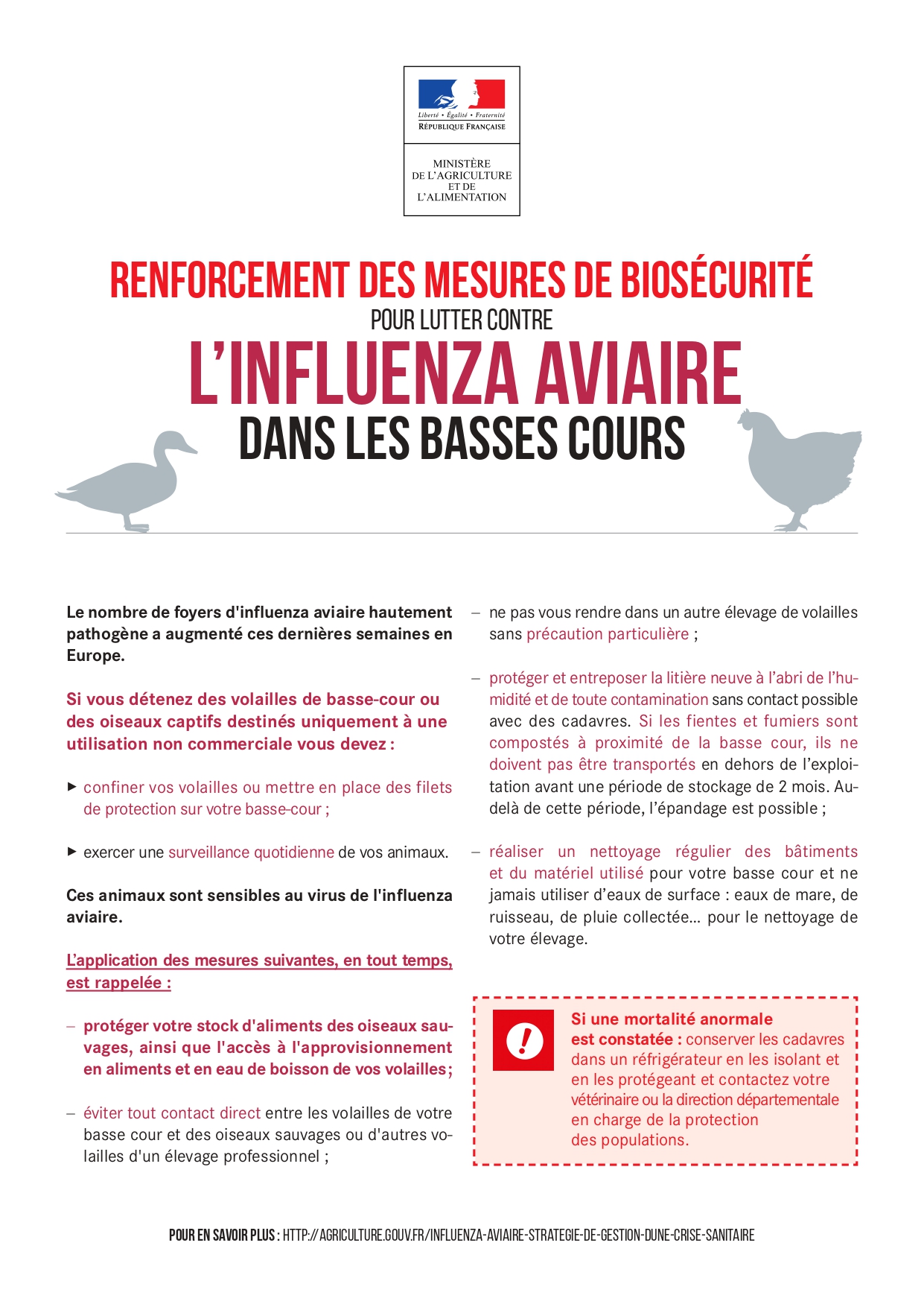 Flyer confinement basse cours_page-0001.jpg