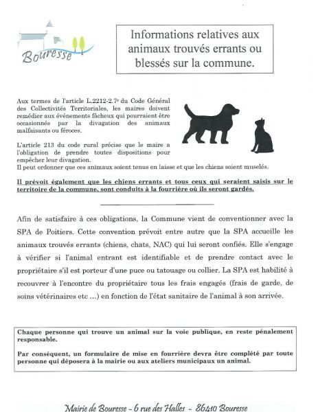 Infos animaux errants