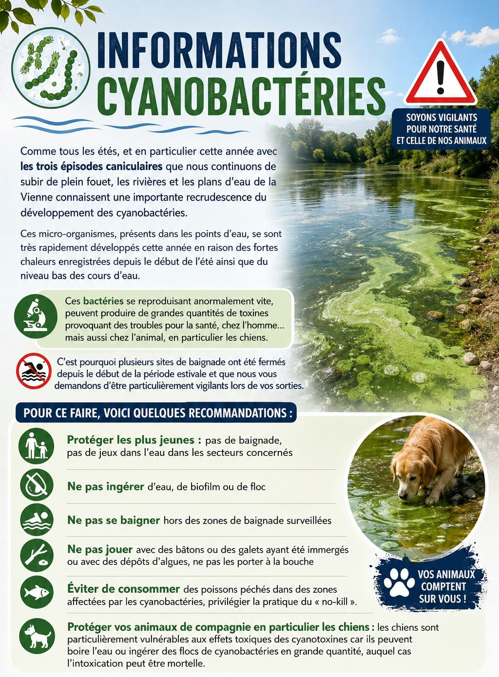 affiche cyanobacterie ete 2026.jpg