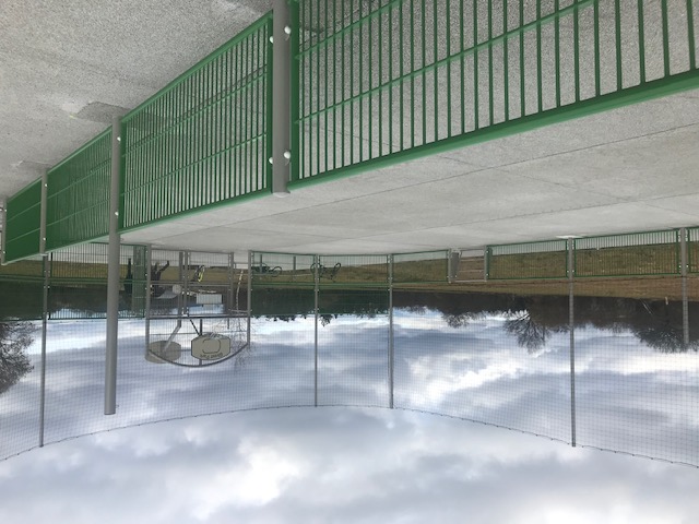 Photo City Stade.jpg