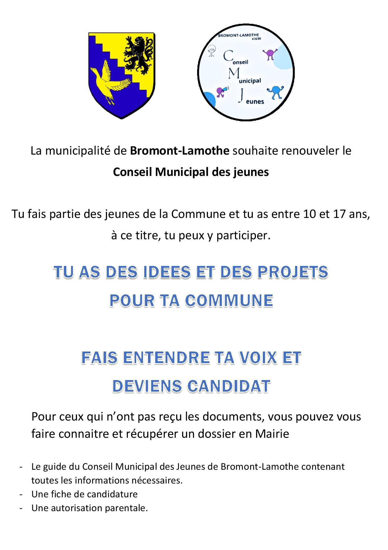 Affiche Conseil des jeunes corrigée-page-001.jpg