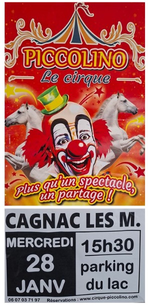 Cirque Piccolino 28 01 2026.jpg