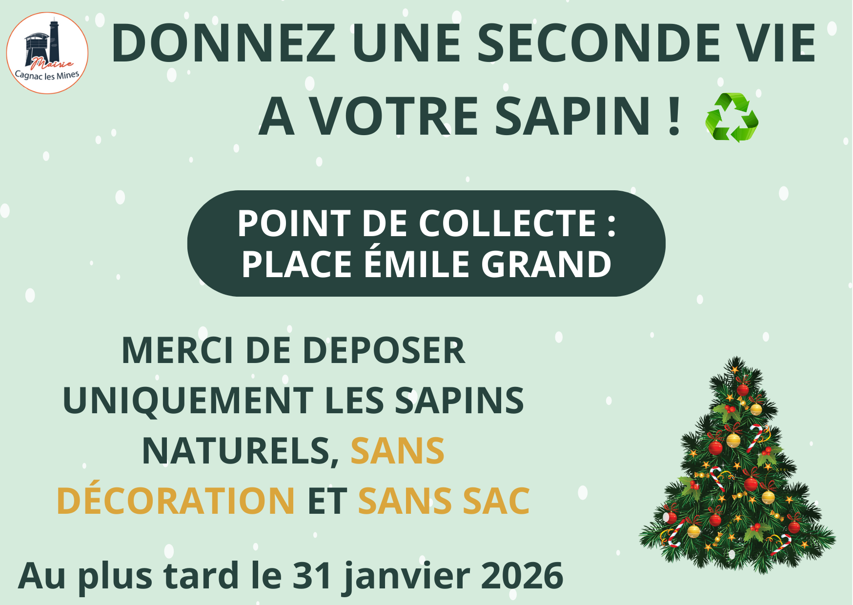 DONNEZ UNE SECONDE VIE A VOTRE SAPIN 2026.png