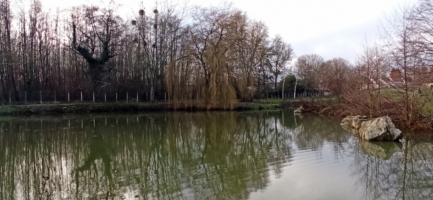 Image2.jpg