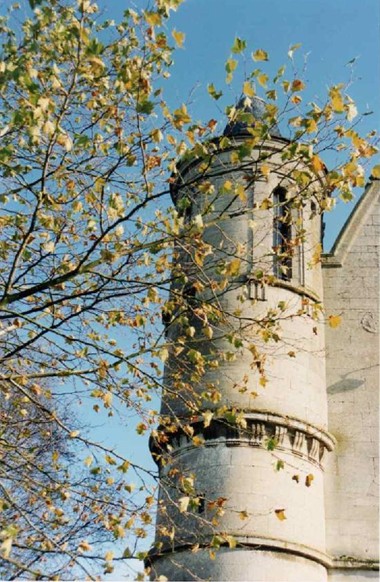Image15.jpg