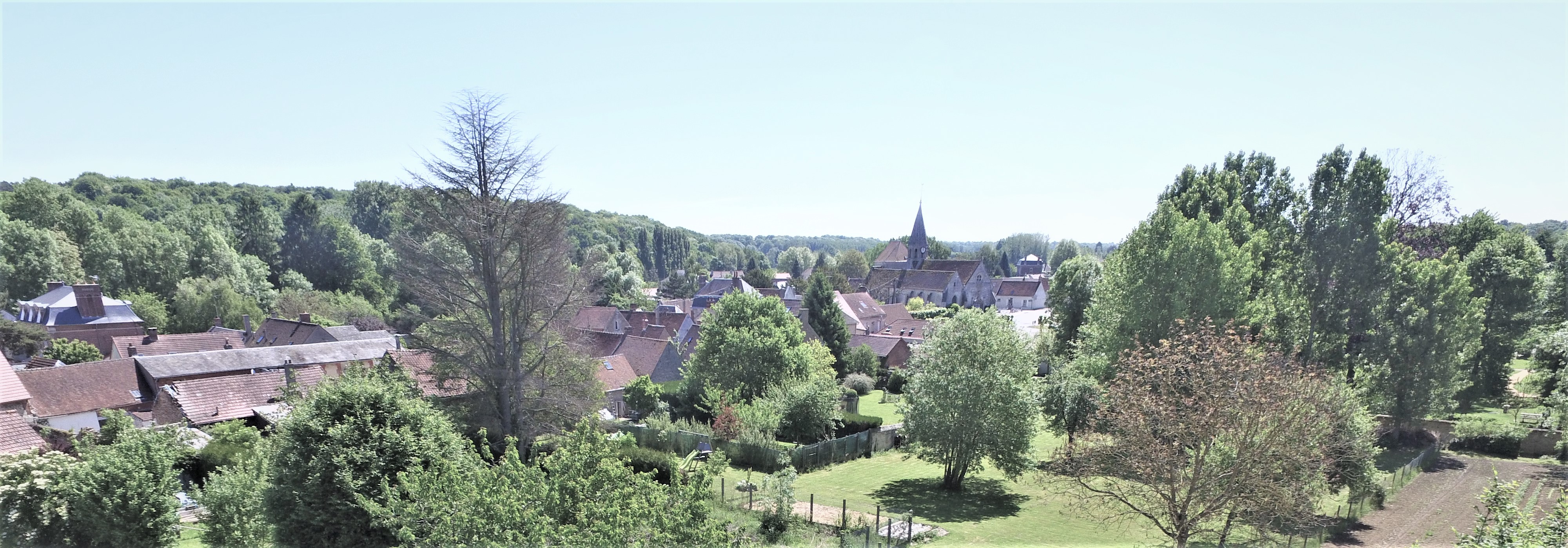 cauvigny 9 .jpg