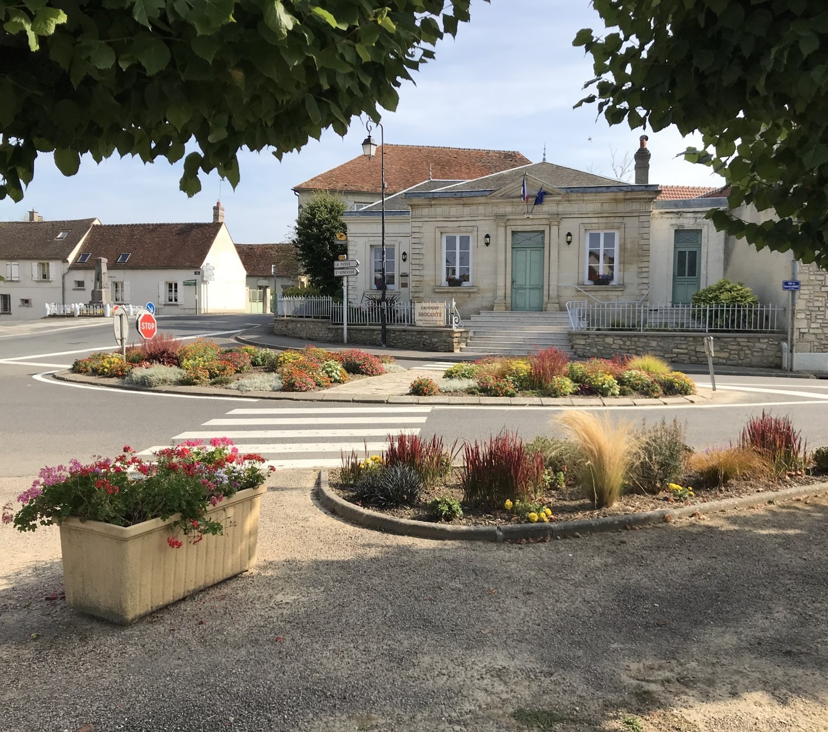 Image1.jpg