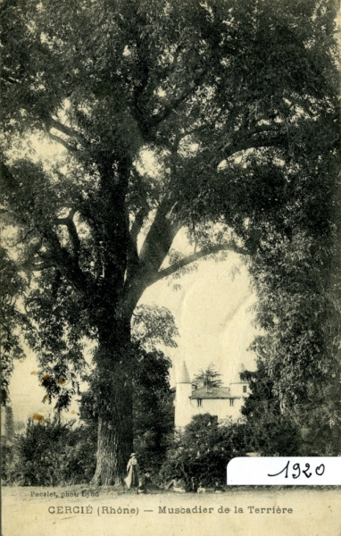 1920.jpeg