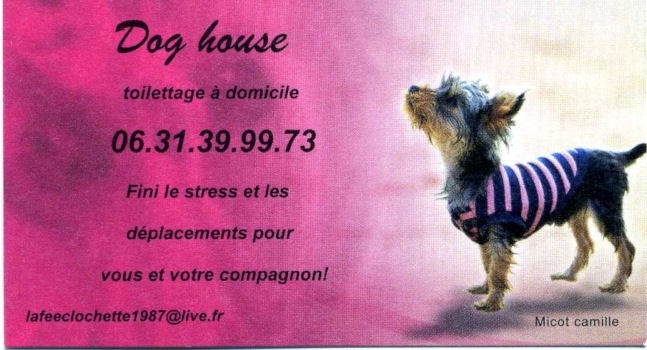 dog house.jpg