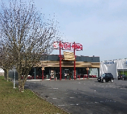 wok king.png