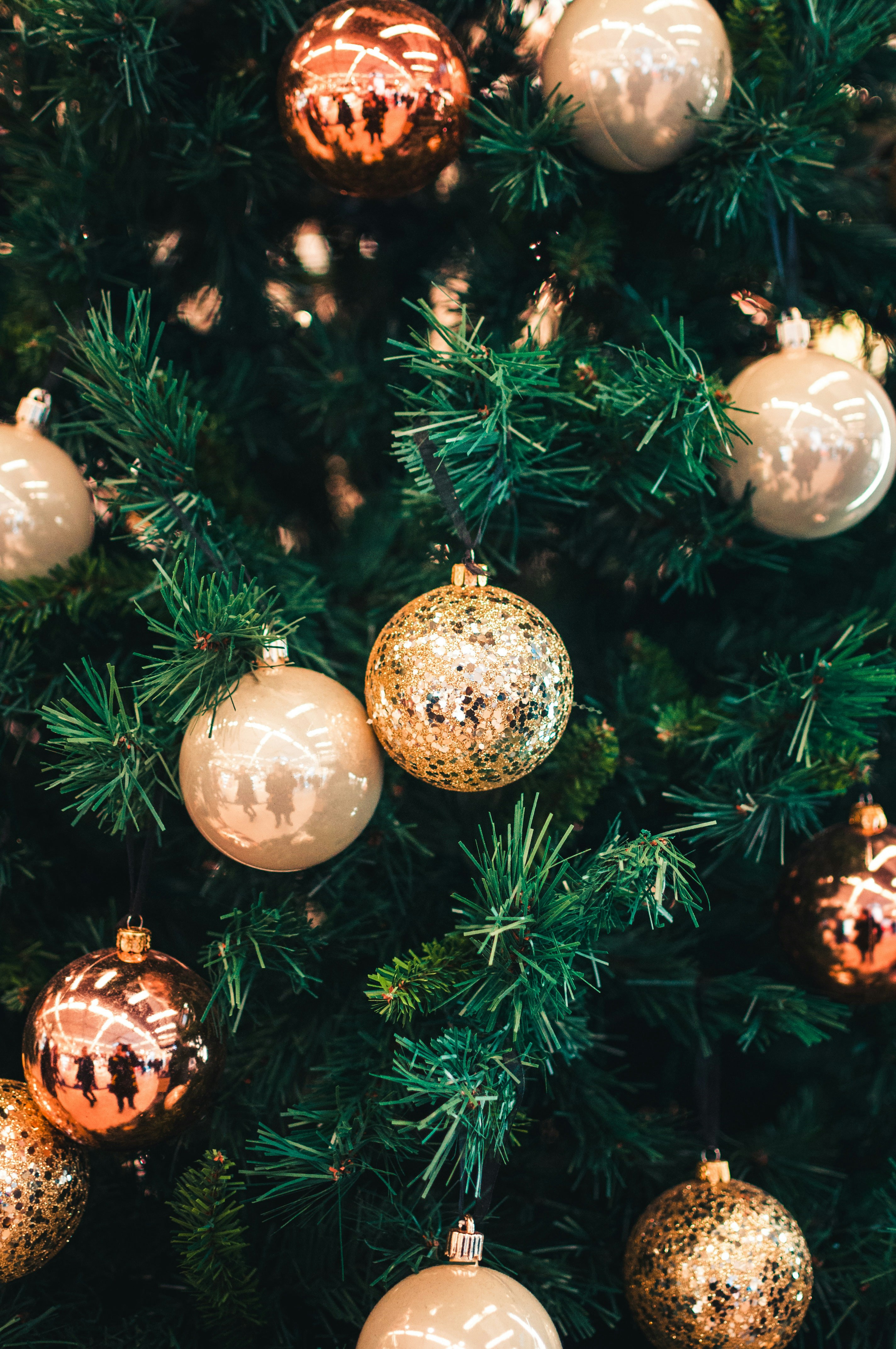 sapin de noel-unsplash.jpg