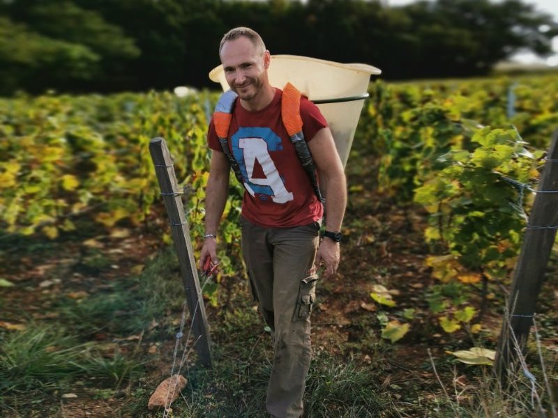 DOMAINE Damien BERTHELON EARL.jpg