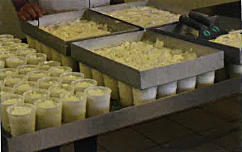 photos-eurl Le parc3.jpg