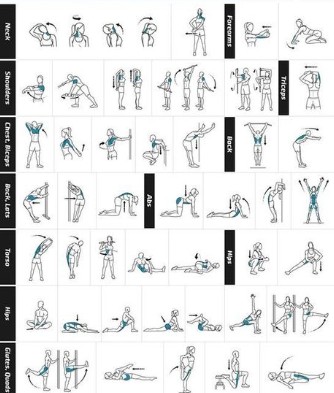 Gym FR.jpg
