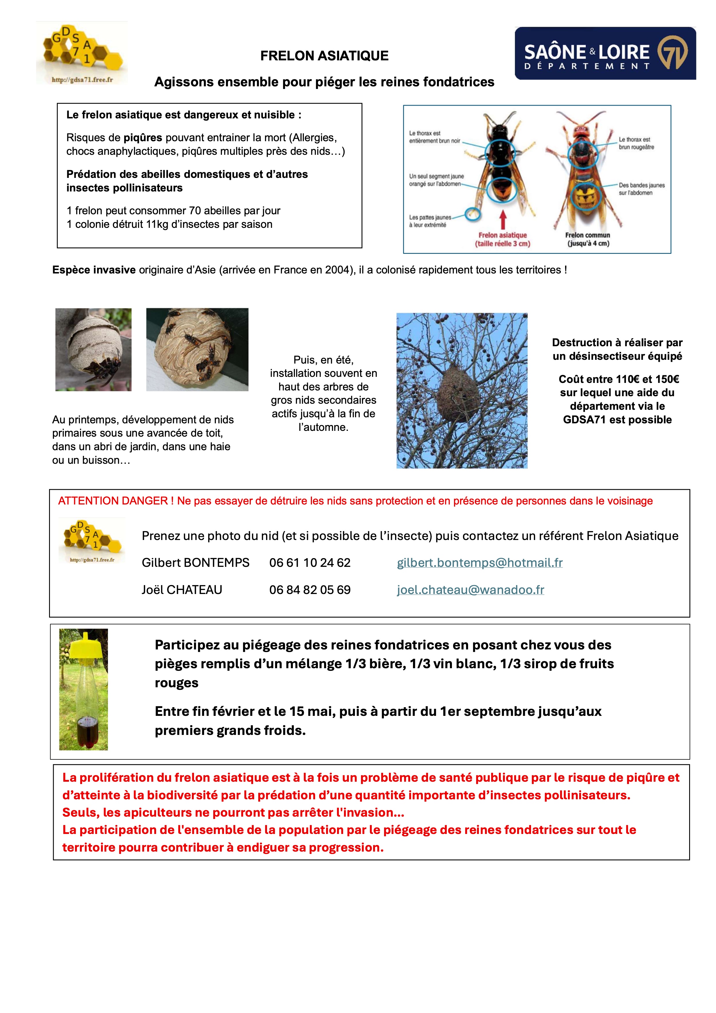 Frelons asiatiques information c_ommunale département 71.jpg