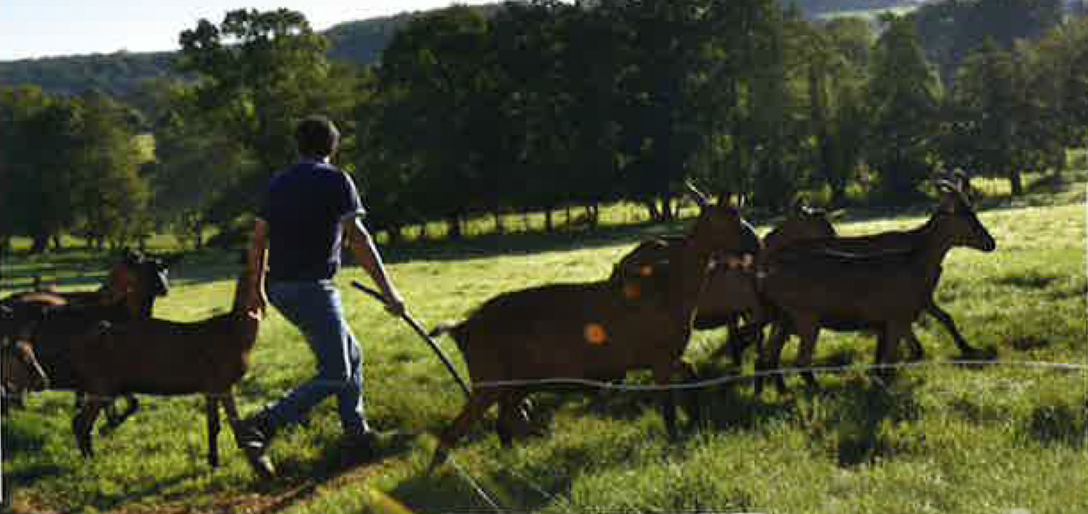 photos-eurl Le parc2.jpg