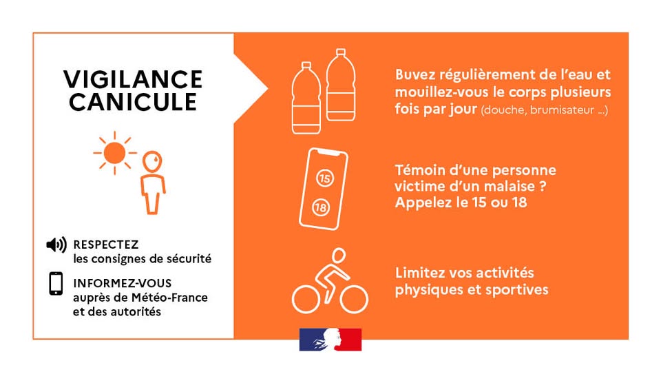 canicule.jpg