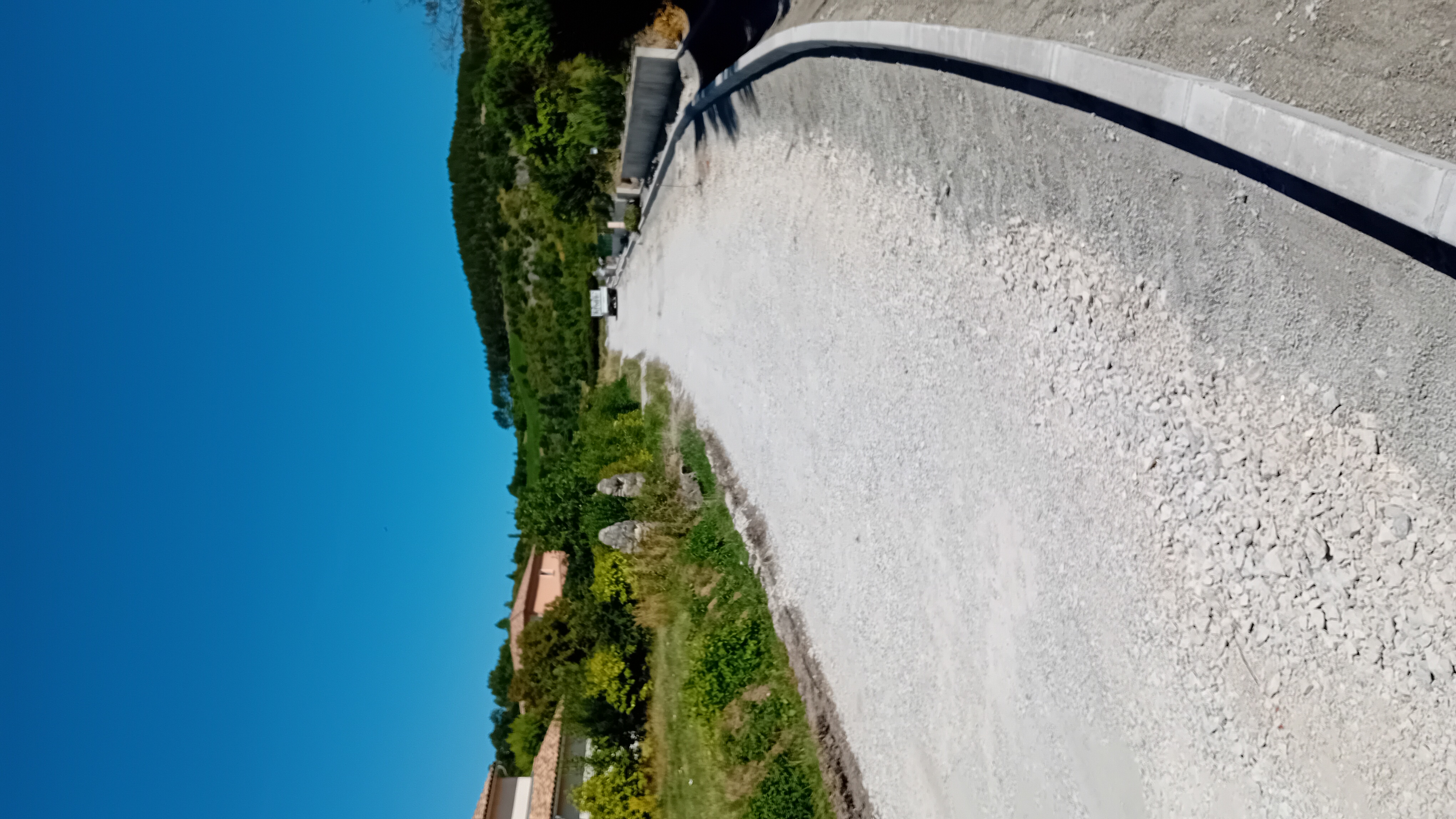20250729_114005.jpg