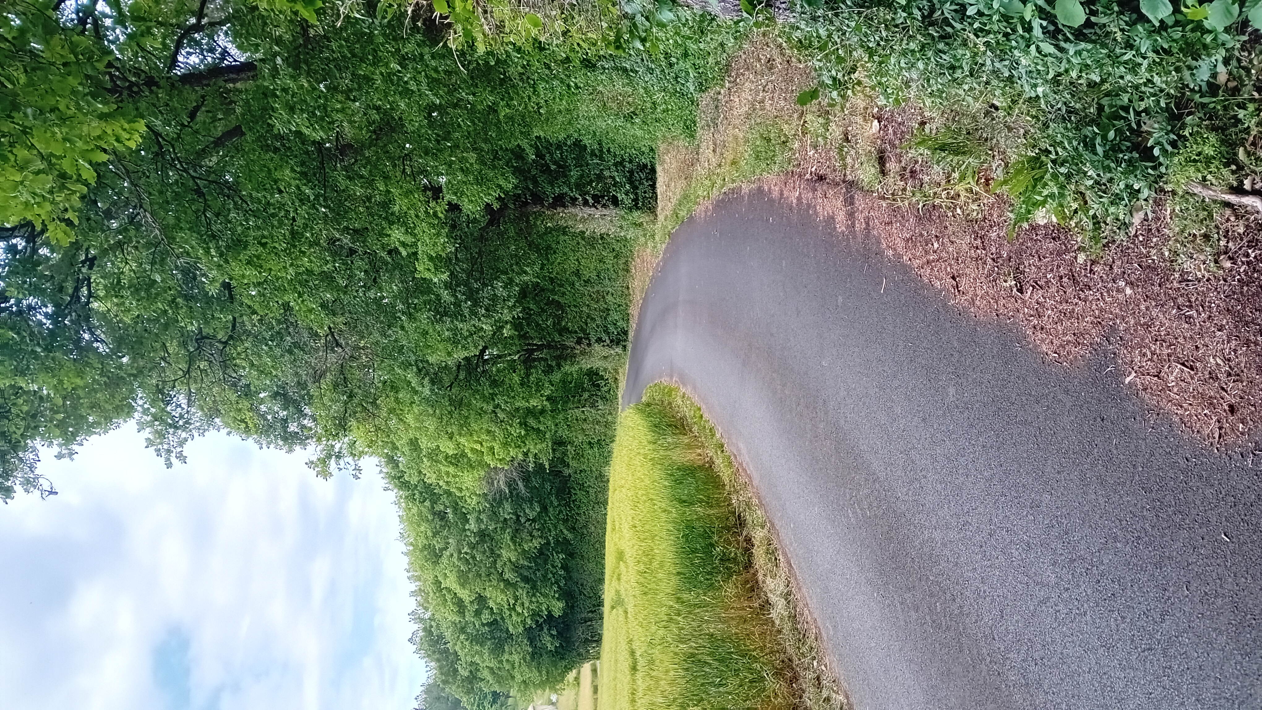 20250603_122721.jpg