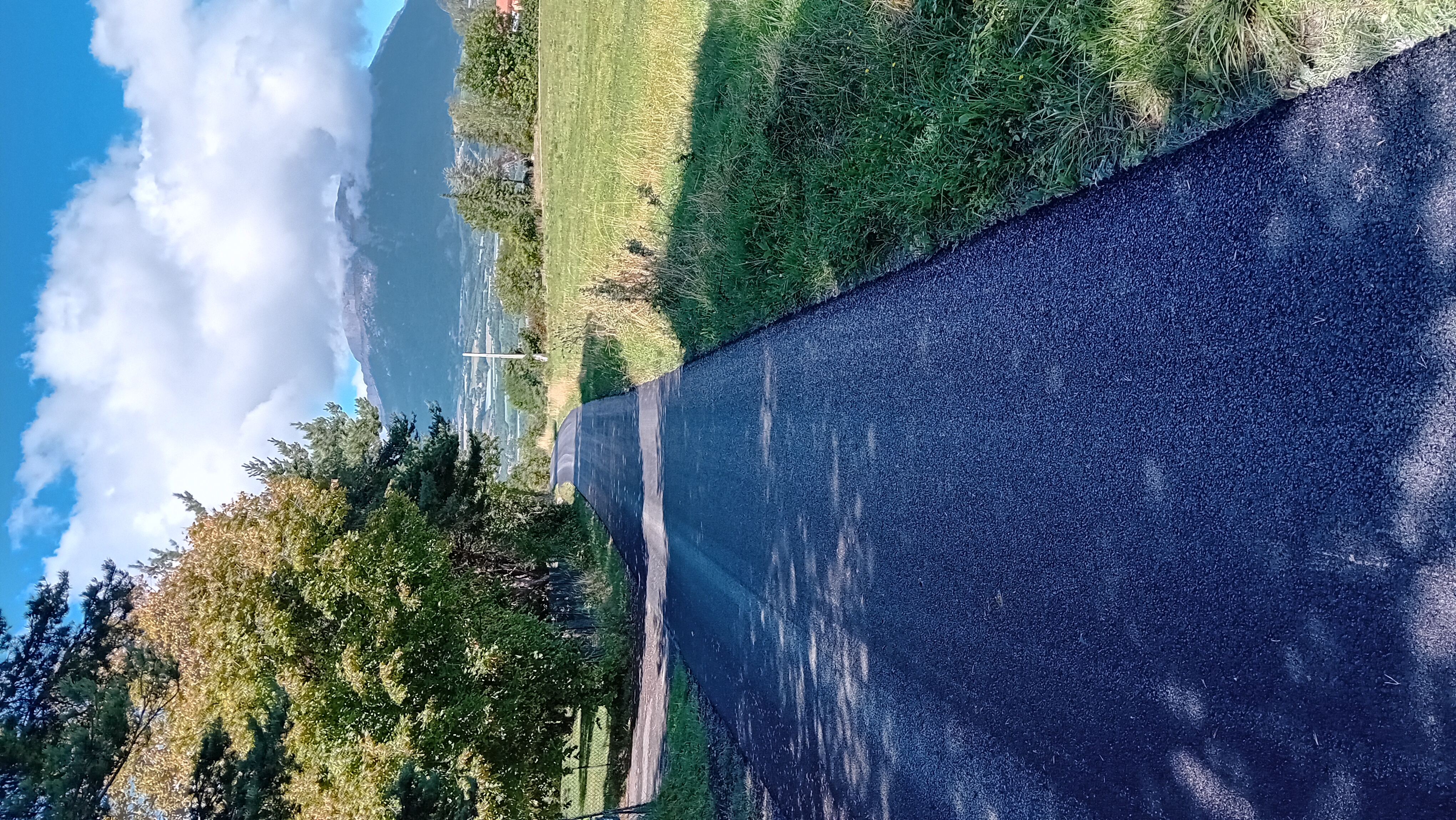 20250830_120419.jpg