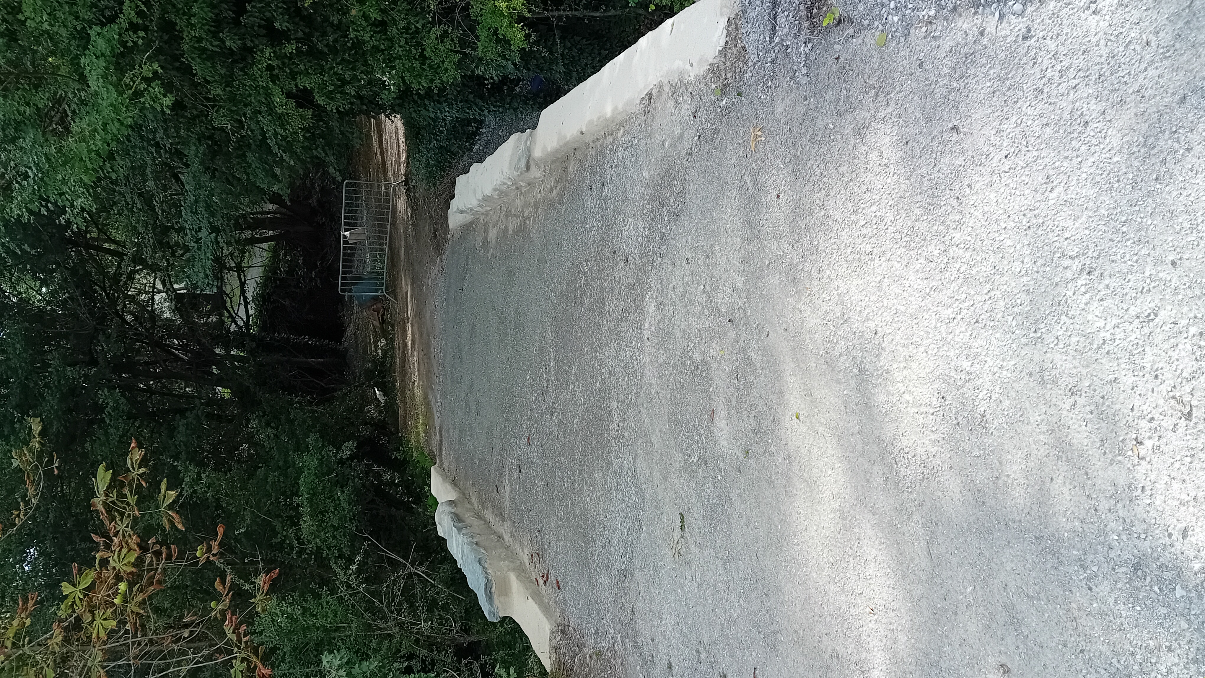 20250908_100652.jpg