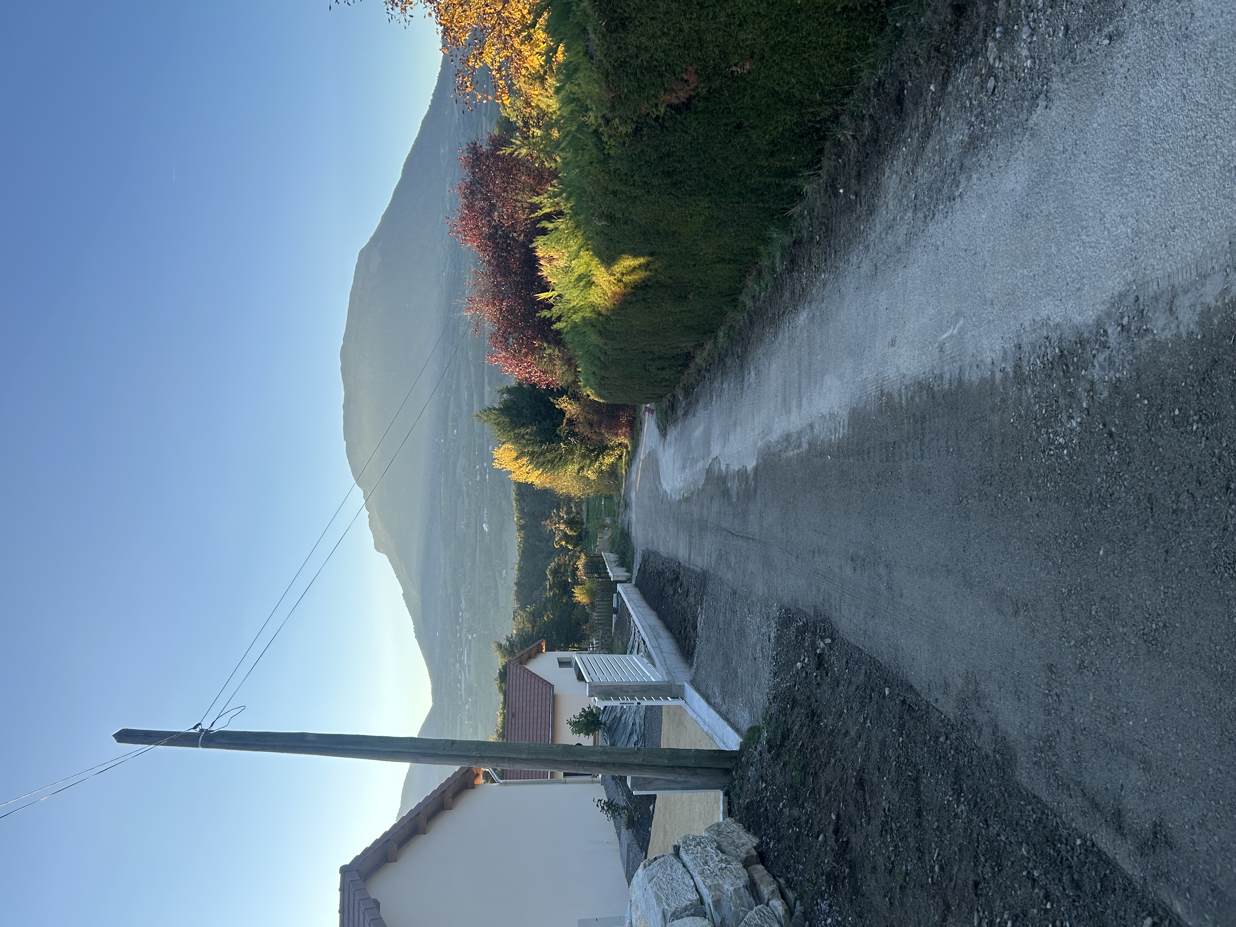 IMG_3612.jpeg