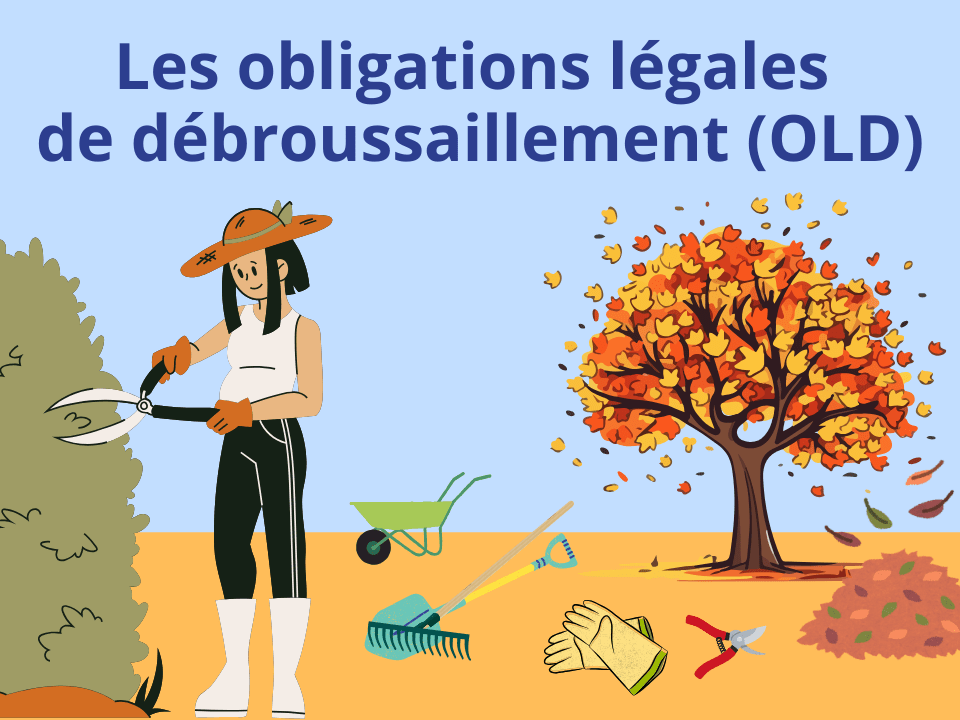 OLD-image-debroussaillement.png