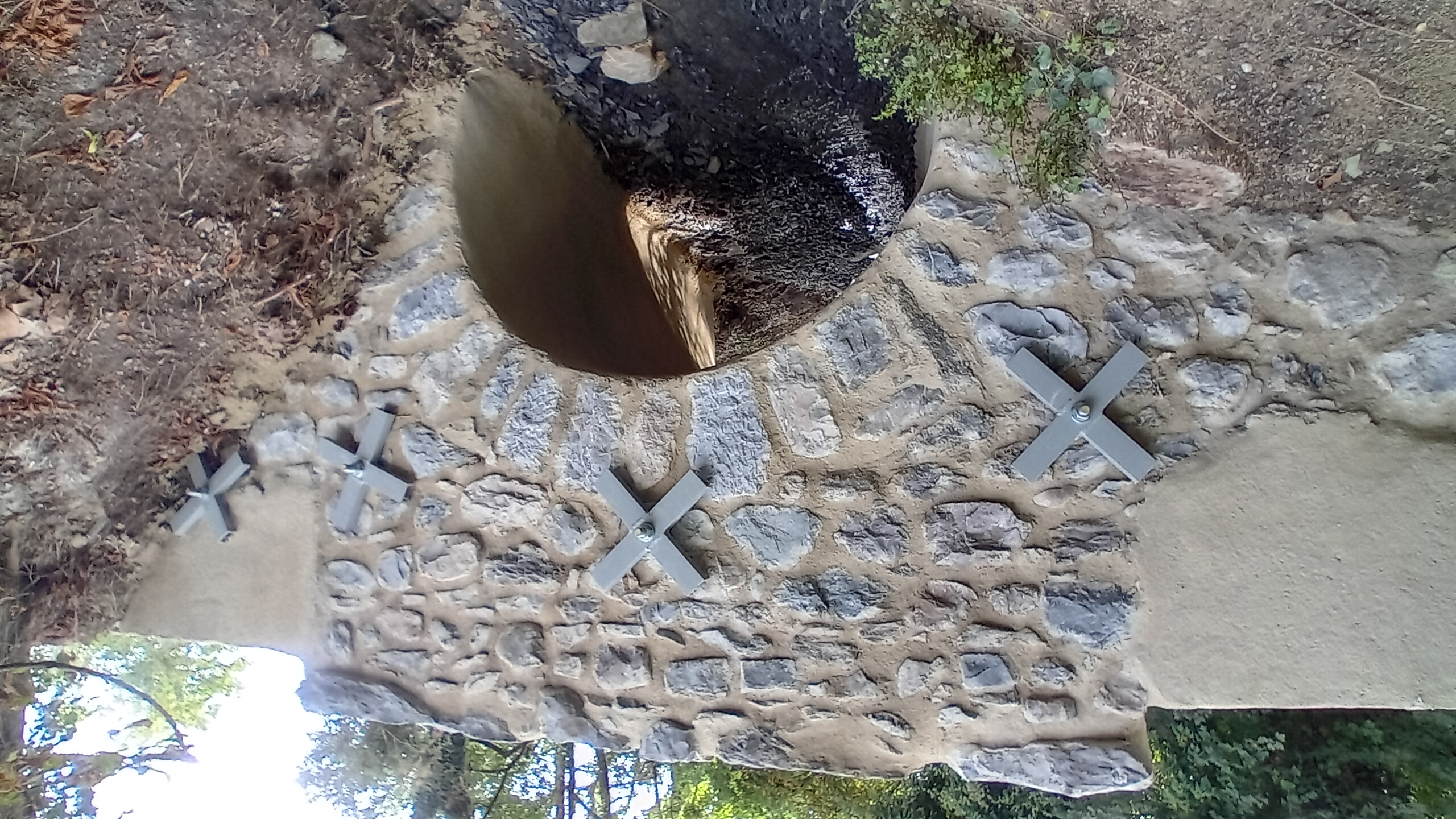 20250908_100822.jpg