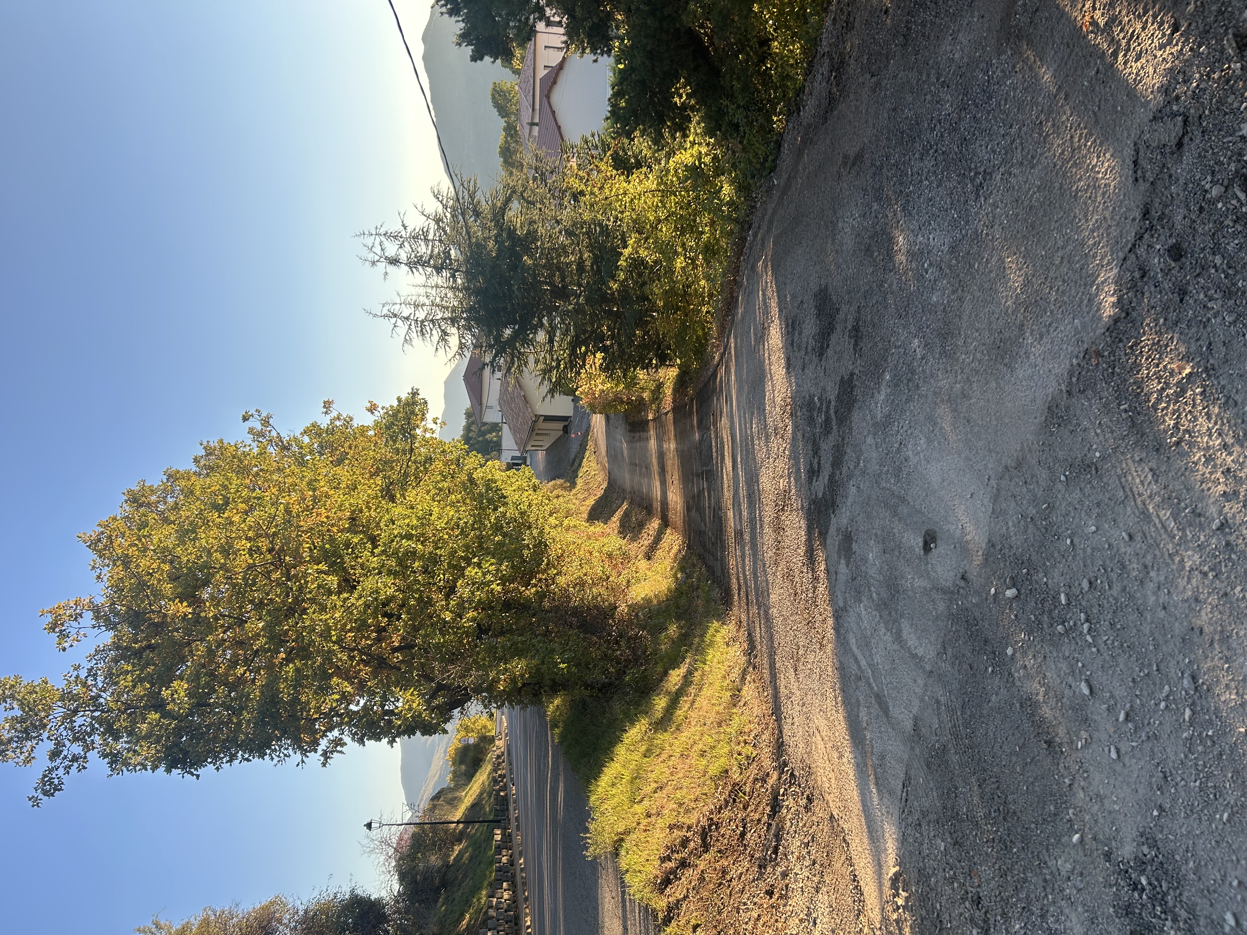 IMG_3611.jpeg
