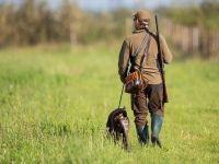 Chasse.jpg