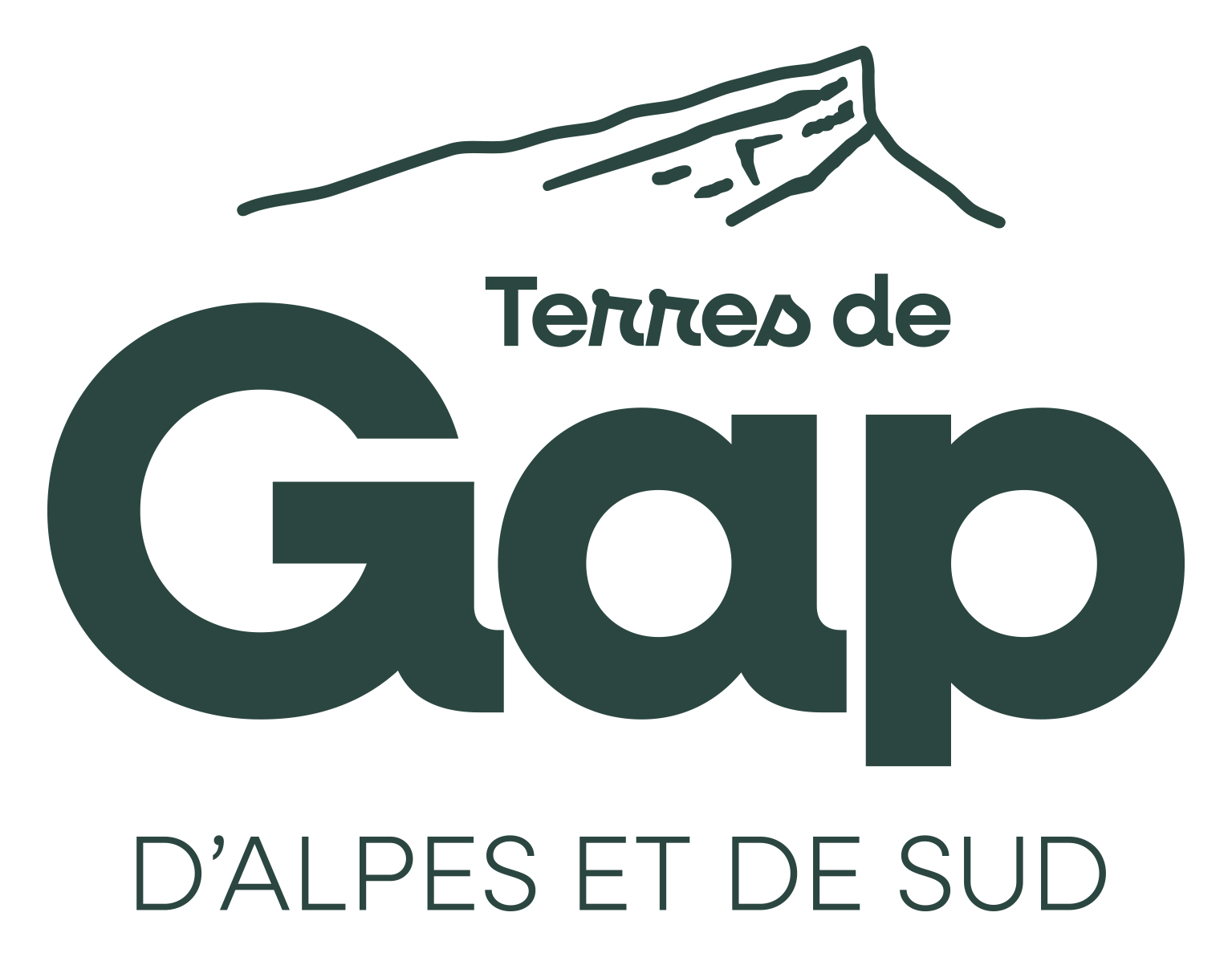TDG signature vert sapin.jpg
