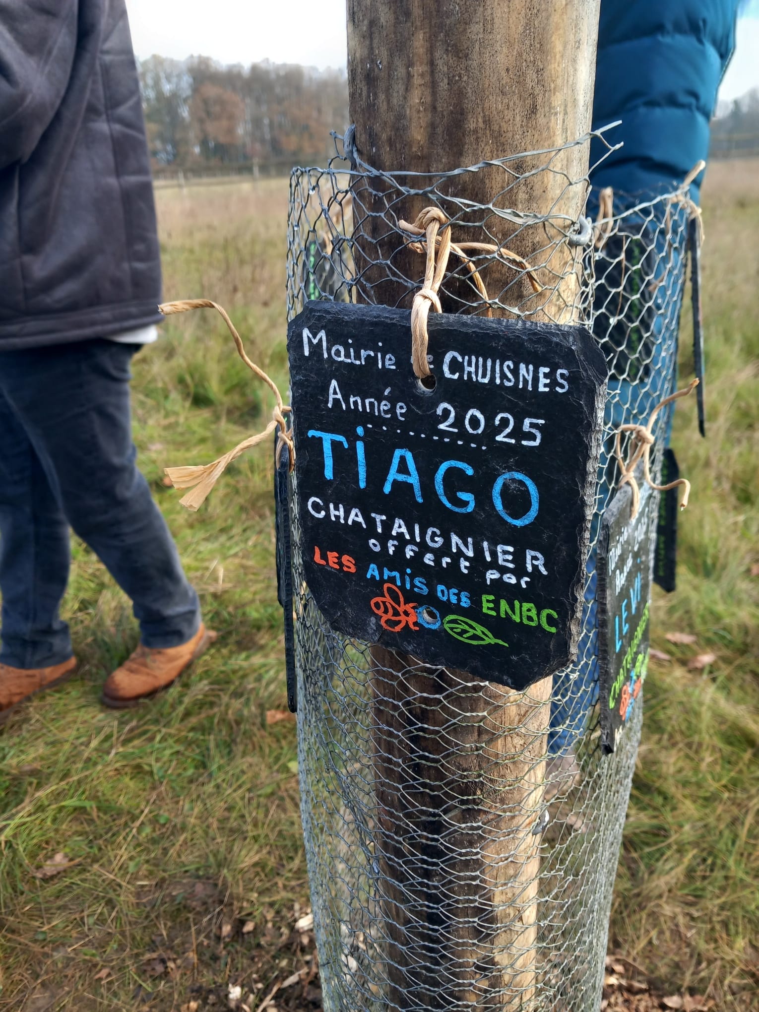 WhatsApp Image 2025-11-22 à 21.44.14_0224c9f7.jpg