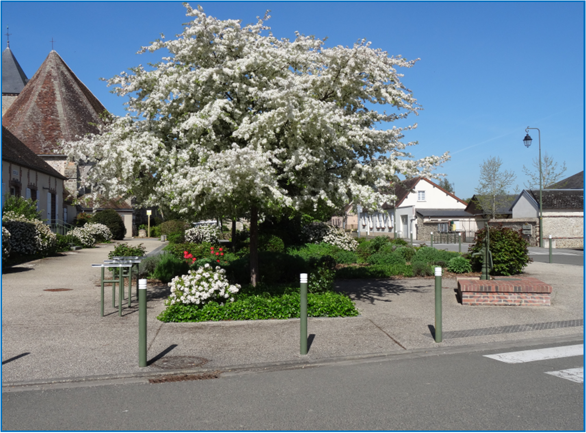 Place de l_église.png