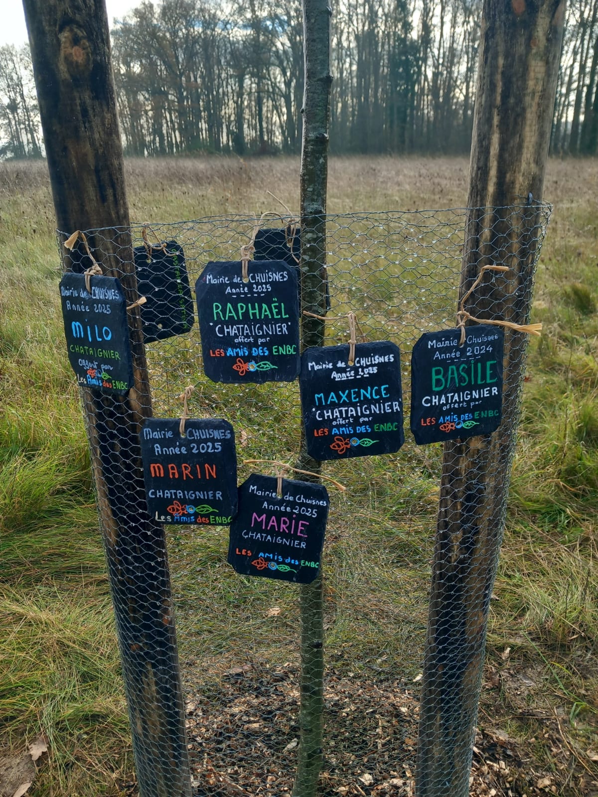 WhatsApp Image 2025-11-22 à 21.44.12_3e27fe93.jpg