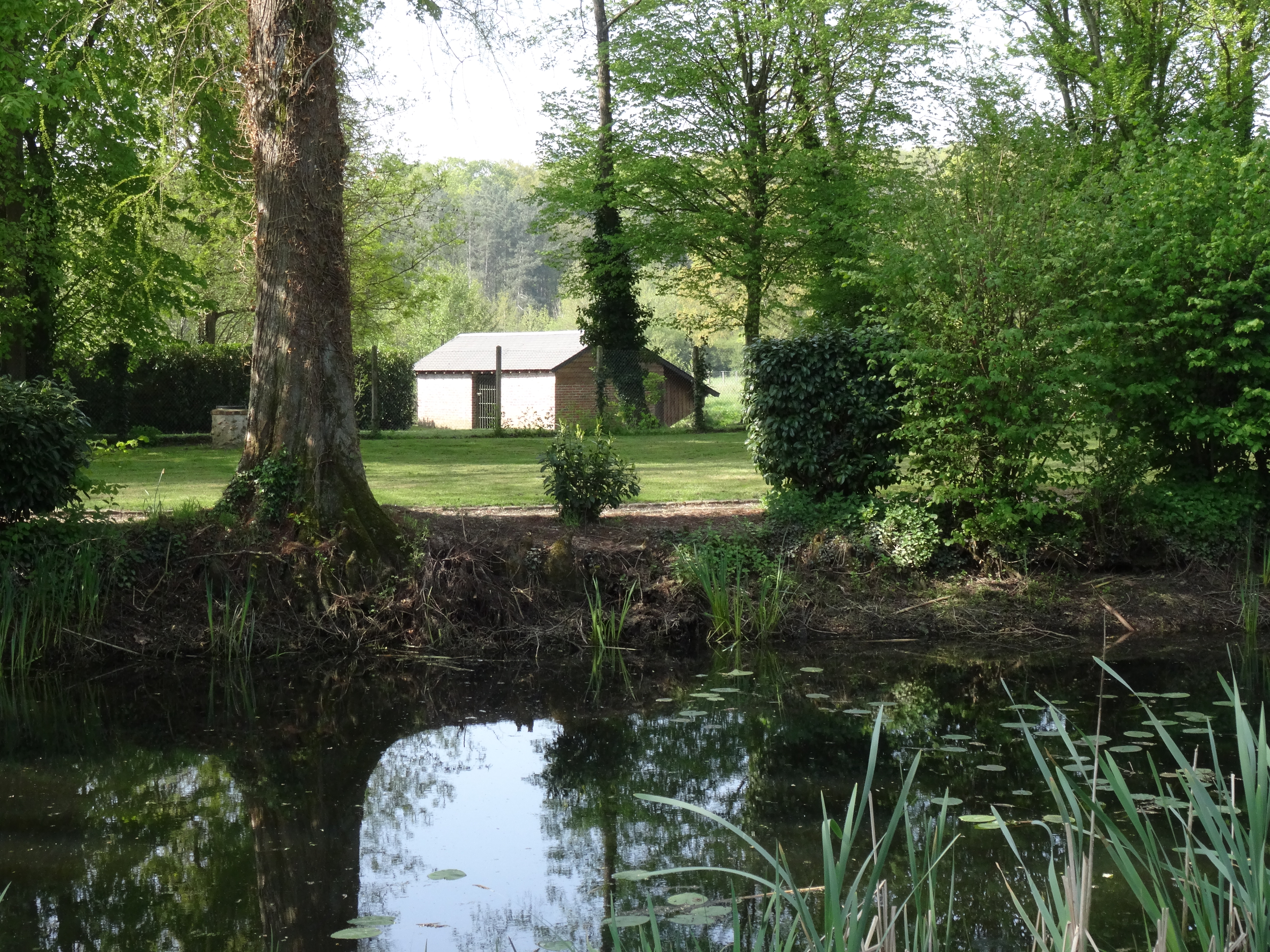 la mare le lavoir.JPG