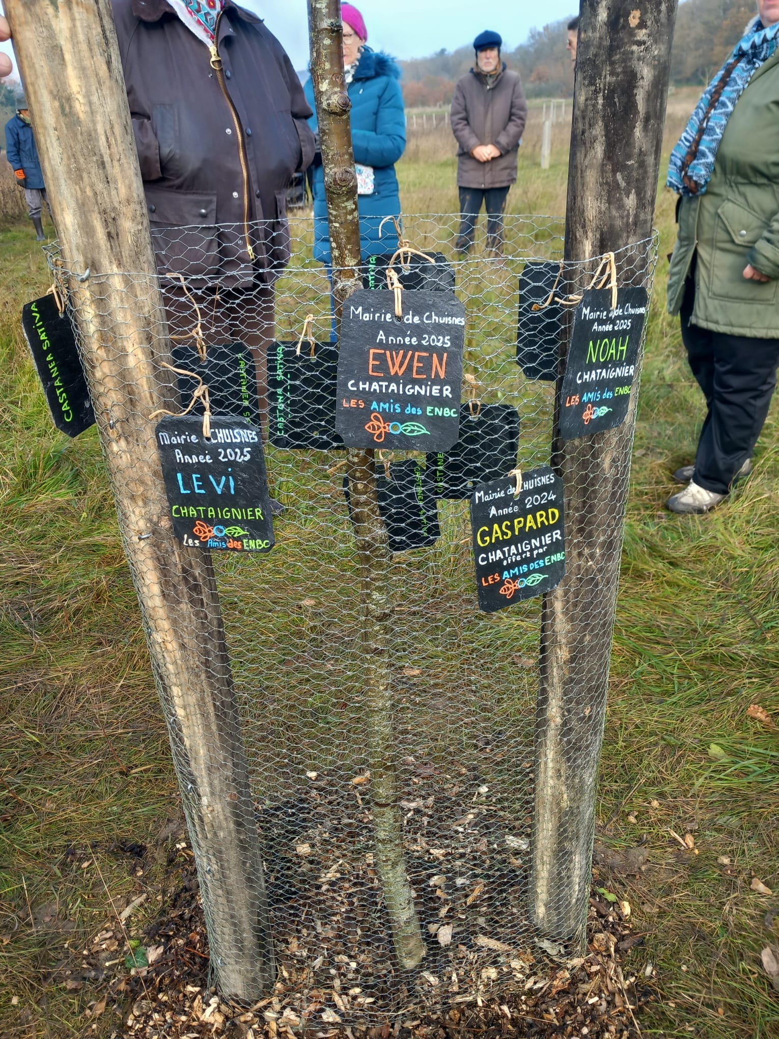 WhatsApp Image 2025-11-22 à 21.44.14_bad328d9.jpg