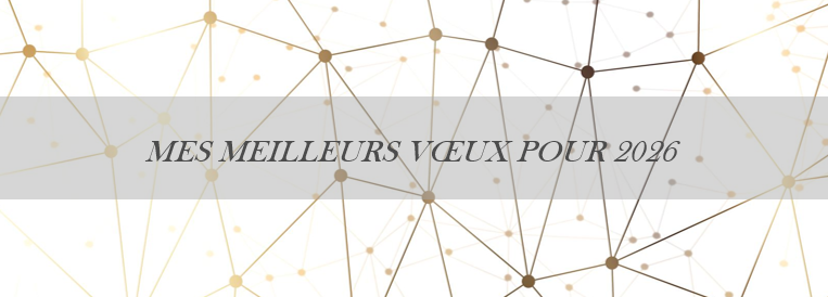 Capture d’écran 2025-12-30 153548.png