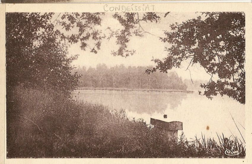 condeissiat etang.jpg