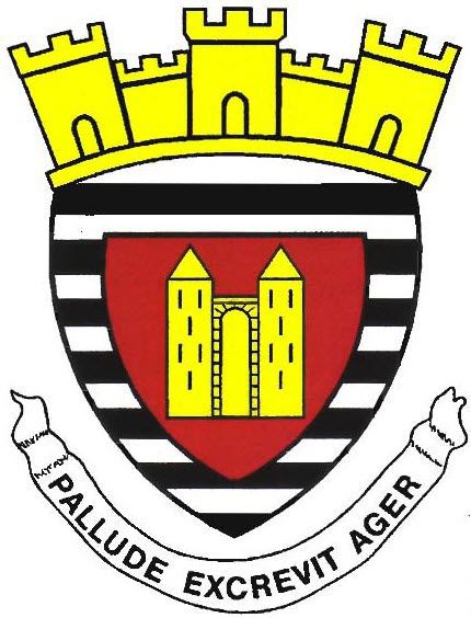 blason palluau.jpg